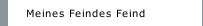 Meines Feindes Feind