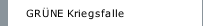 GRÜNE Kriegsfalle