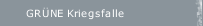 GRÜNE Kriegsfalle