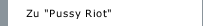 Zu "Pussy Riot"