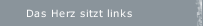 Das Herz sitzt links