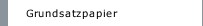 Grundsatzpapier