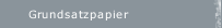 Grundsatzpapier